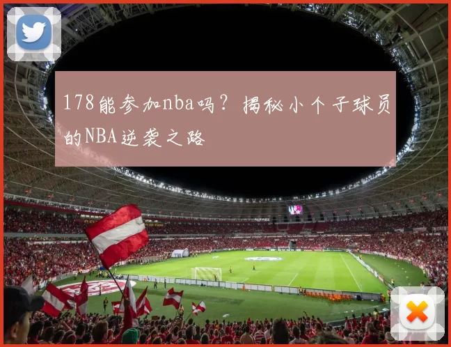 178能参加nba吗？揭秘小个子球员的NBA逆袭之路