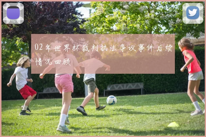 02年世界杯裁判执法争议事件后续情况回顾