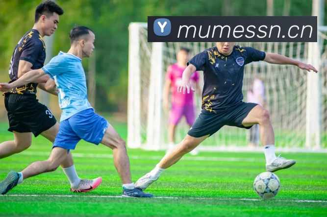 14世界杯裁判执法表现回顾关键判罚对比赛结果影响分析